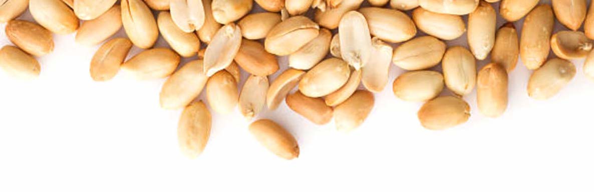 Premium Peanuts